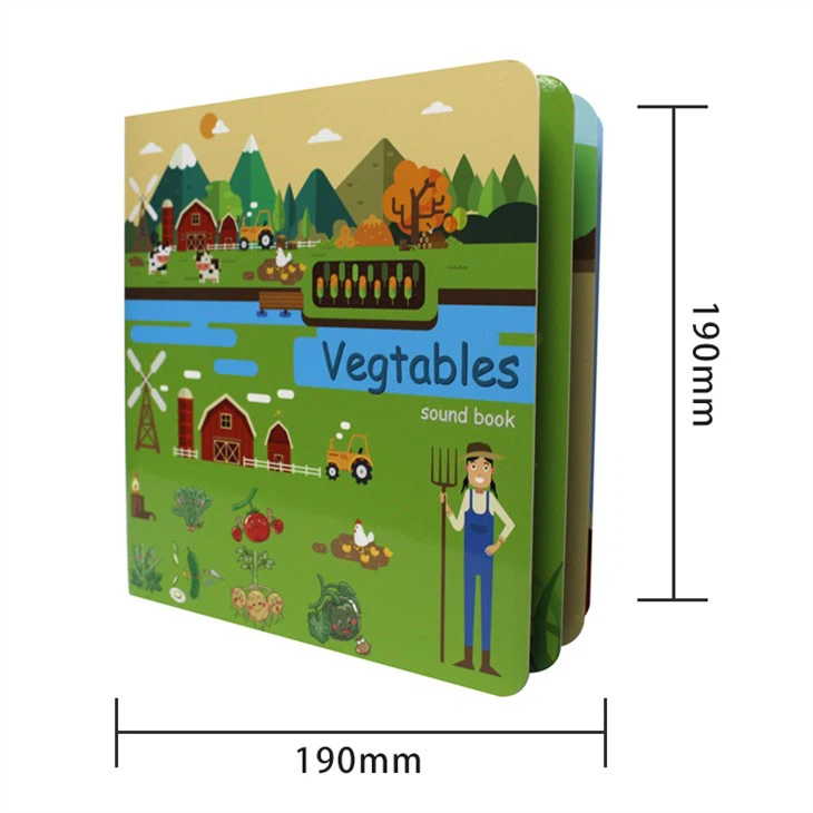 Usborne First Book About The Orchestra For Story Reading Book